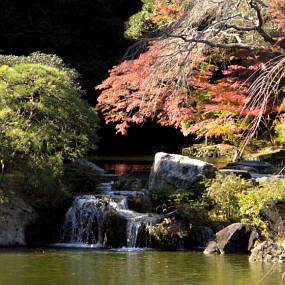 japangarten_2